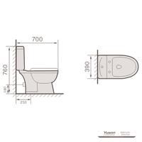 YS22210S Retro dizajn 2-dijelni keramički WC, WC školjka s P-sifonom;